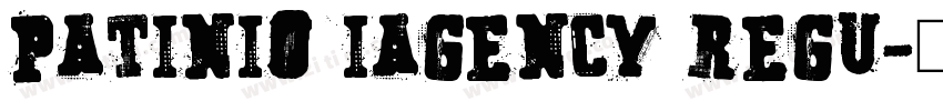 Patinio iAgency Regu字体转换